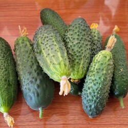 Огурцы с крапивой хранение