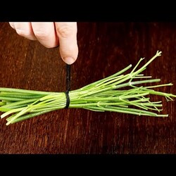 10 ПРИЧИН, почему вы не должны выбрасывать СТЕБЛИ от зелени и БОТВУ