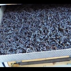 ИК-сушилка для  чая,  ягод,  овощей и  грибов.