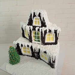 сборка и украшение 3D торта ЗИМНИЙ ДОМ! на РОЖДЕСТВО, на Новый год Украшение белково-заварным кремом