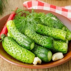 Как приготовить малосольные огурцы самостоятельно хрустящие в холодном рассоле и их польза для организма