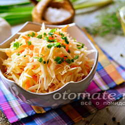 Суточная капуста с морковью и чесноком - рецепт быстрого приготовления с фото