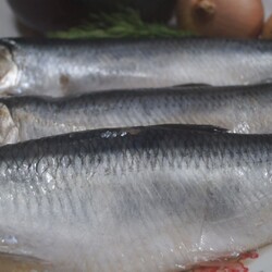 Засолка сельди в банке (настоящий бочковой засол)