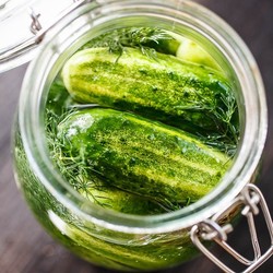 Засолка огурцов без уксуса - рецепт с фото пошагово