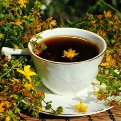 Зверобой трава ччастья