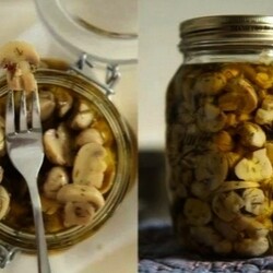 Маринад для любых грибов