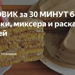МЕДОВИК за 30 МИНУТ без духовки, миксера и раскатки коржей