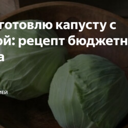 Капуста с манкой: рецепт бюджетного блюда