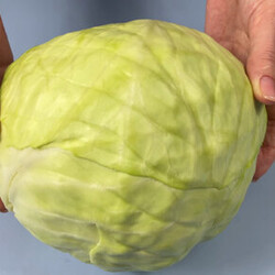 Капустные котлеты с манкой