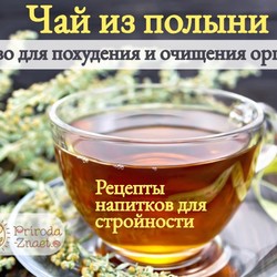 Полынь для похудения