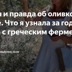 Мифы и правда об оливковом масле. Что я узнала за годы брака с греческим фермером
