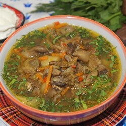 Грибной суп-гуляш