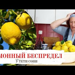 Лимонный беспредел. Часть 1. Заготовка лимонов впрок