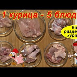 Разделка куриной тушки для приготовления 5 блюд