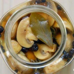 Засолка шампиньонов холодным способом - рецепт с фото на Повар.ру