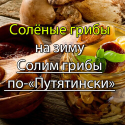 Солёные грибы - универсальный рецепт - Заготовки на зиму лучшие рецепты