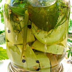 Кабачки кружочками | Fresh-Recipes