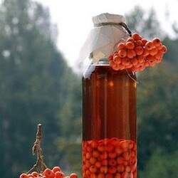 Настойка на рябине