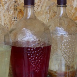 Домашнее вино