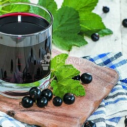 Настойка из чёрной смородины