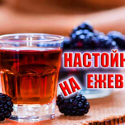 Настойка на ежевике