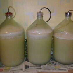 Брага из буханки черного хлеба