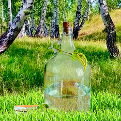 Рецепты домашнего кваса