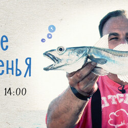 Шоколадный брауни со взбитыми сливками