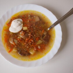 Грибной суп с полбой