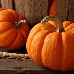 Тыква: рецепты обычные и необычные, а также Хэллоуинские