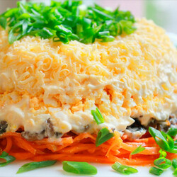Слоеный салат с морковью: 8 хороших рецептов |