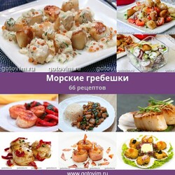 Морские гребешки, 66 рецептов, фото-рецепты