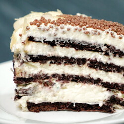 Шоколадный торт со сливочным кремом без выпекания коржей в духовке: легкий и вкусный десерт