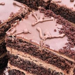 Шоколадный торт Шифоновая Прага