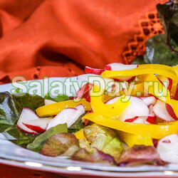 Салат с редисом - отлично поднимает настроение в любое время года: рецепты с фото и видео