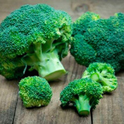 Капуста брокколи: польза и вред для здоровья