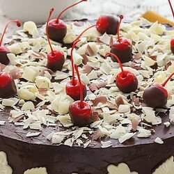 Шоколадно-кофейные торты: рецепты, фото тортов с кофе и шоколадом для духовки и мультиварки