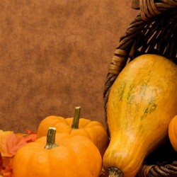 Лучшие рецепты блюд из тыквы