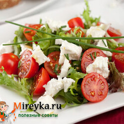 Салат с сыром – подборка рецептов