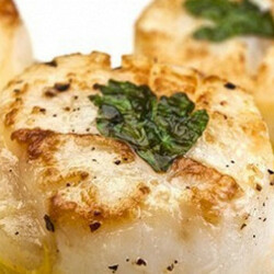 Морские гребешки с петрушкой. Рецепт