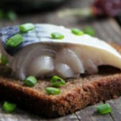 Малосольная скумбрия кусочками в рассоле