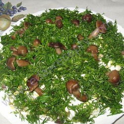 Как приготовить салат Лесная поляна с опятами