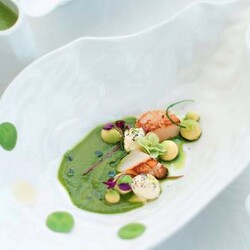 Жидкий зеленый салат с морскими гребешками и авокадо от Владимира Мухина, пошаговый рецепт с фото