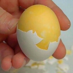 «По-японски»: как сварить куриное яйцо желтком наружу