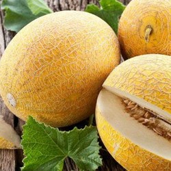 Дыня: как выбрать, а также оригинальные рецепты