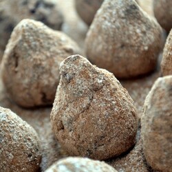 Трюфель с бергамотом и имбирем - пошаговые рецепты с фото на povarenok.by