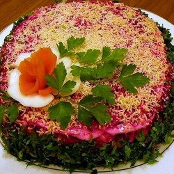 Селедка под шубой — классические пошаговые рецепты. Последовательность слоев, оформление