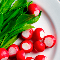 Черемша. Что приготовить вкусно