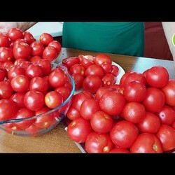 Помидоры на зиму так БЫСТРО, я ещё не закрывала! БЕЗ УКСУСА и зелени! Сразу 2 рецепта.