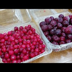 Как просто и правильно быстро размораживать ягоды  а вы знали о таком